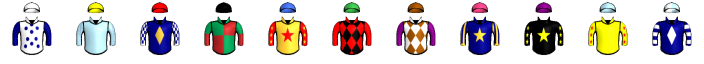 Runner silk