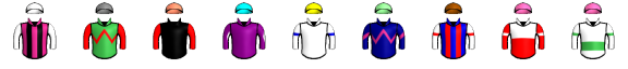 Runner silk