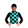 Jockey Silk