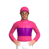 Jockey Silk
