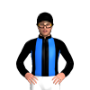 Jockey Silk