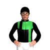 Jockey Silk