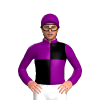Jockey Silk