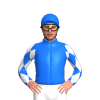 Jockey Silk