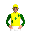 Jockey Silk