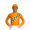 Jockey Silk