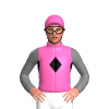 Jockey Silk