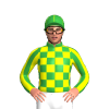 Jockey Silk