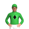 Jockey Silk