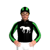 Jockey Silk