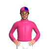 Jockey Silk