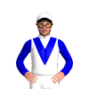Jockey Silk