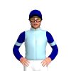 Jockey Silk