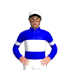 Jockey Silk