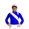 Jockey Silk