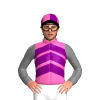 Jockey Silk