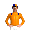Jockey Silk