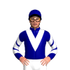 Jockey Silk
