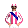 Jockey Silk