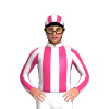Jockey Silk