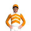 Jockey Silk