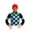 Jockey Silk