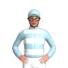 Jockey Silk