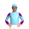 Jockey Silk