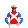 Jockey Silk