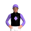 Jockey Silk