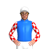 Jockey Silk