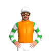 Jockey Silk