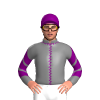 Jockey Silk