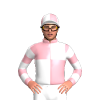 Jockey Silk