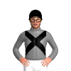 Jockey Silk