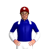 Jockey Silk