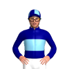 Jockey Silk