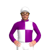 Jockey Silk