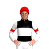 Jockey Silk