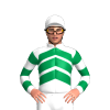 Jockey Silk