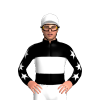 Jockey Silk