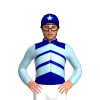 Jockey Silk