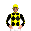 Jockey Silk
