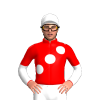 Jockey Silk