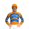 Jockey Silk