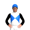 Jockey Silk