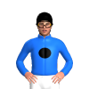 Jockey Silk