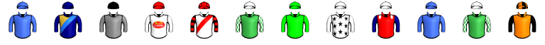 Runner silk
