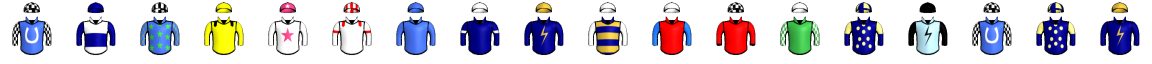 Runner silk