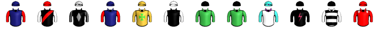 Runner silk